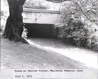 Photo only available in the library